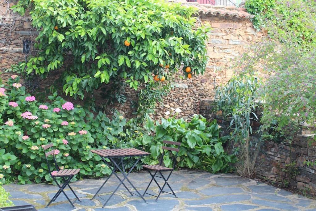 Casa Rural Con Piscina Privada Casar de Palomero Dış mekan fotoğraf